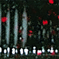 Watermelon Black Red Flake