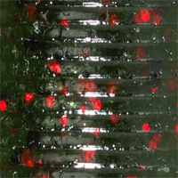 Watermelon Black Red Flake