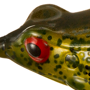 Watermelon Green Pumpkin