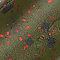 Watermelon/Red Flake