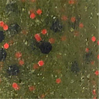 Watermelon/Red Flake