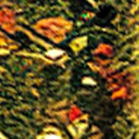 Watermelon/Red Flake