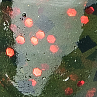 Watermelon/Red Flake