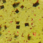 Watermelon/Red Flake