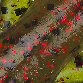 Watermelon/Red Flake