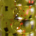 Watermelon/Red Flake