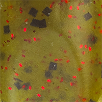 Watermelon/Red Flake