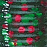 Watermelon/Red Green Flake