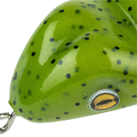 Watermelon Seed
