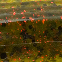 Watermelon/Red Flake