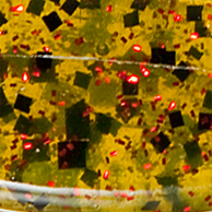 Watermelon/Red Flake