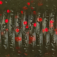Watermelon Black Red Flake