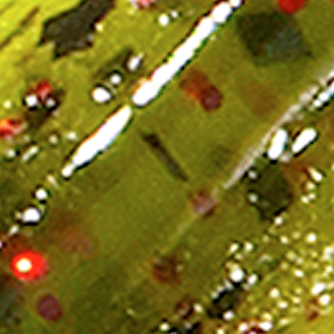 Watermelon/Red Flake