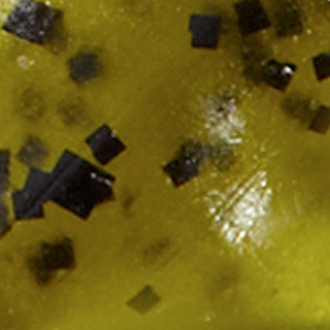 Watermelon Seed