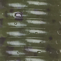 Watermelon Seed