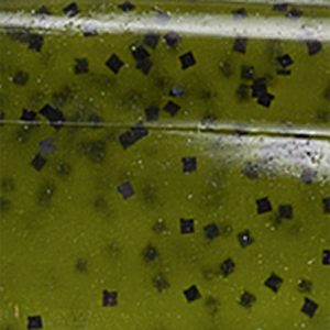 Watermelon Seed