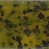 Watermelonseed