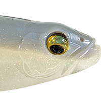 White Back Shad