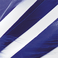 White/Blue
