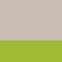 White/Chartreuse