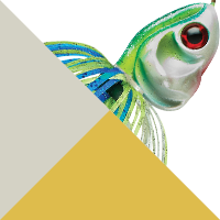 White/Chartreuse/Blue
