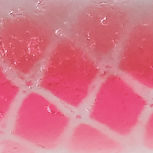 White/Pink
