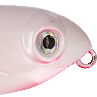 White Shad