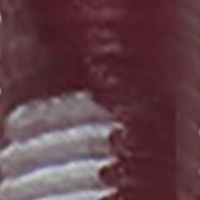 Wine/White Stripe