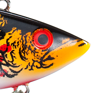 Wounded Shad