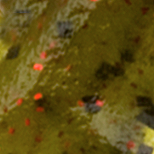 Watermelon/Red Flake