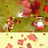 Watermelon/Red Flake