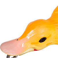 Yellow Chick
