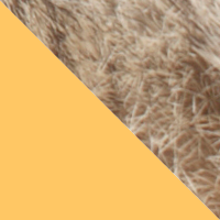 Yellow/Natural