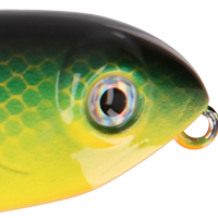 Yellow Perch