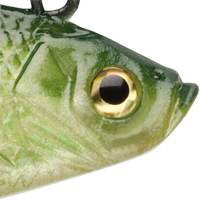 Yellow Perch