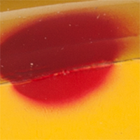 Yellow Red Black Spot