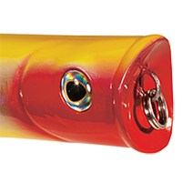 Yellow/Red Head