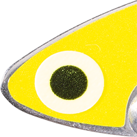 Yellow Shad