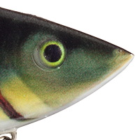 Yellow Perch