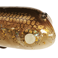 Holo Walleye