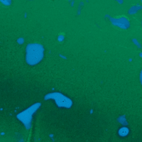 UV Green Spat