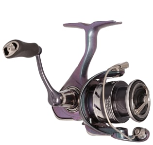 Daiwa Regal LT