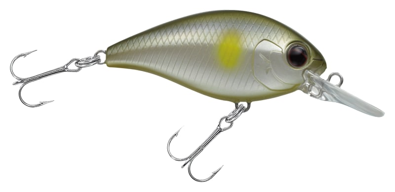 cr fishing lures Craz Crankbait Deep Diving like flight and high buoyancy CR-10 Crankbaits  The Hook
