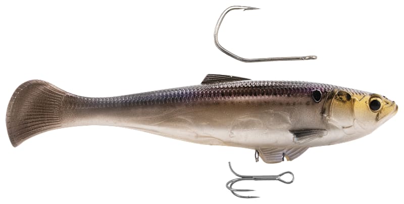bass pro fishing lures threadfin shad Z-Man SWAG LT Swimbait - Threadfin Shad - 5