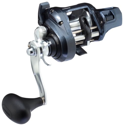 Shimano Tekota A Line Counter Reel | Cabela's