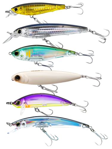 daiwa 8.1 1 reel Daiwa Saltist Spinning Reel 8 (1MBB+7CRBB)+ 1, 5.3 : 1 - SALTIST8000