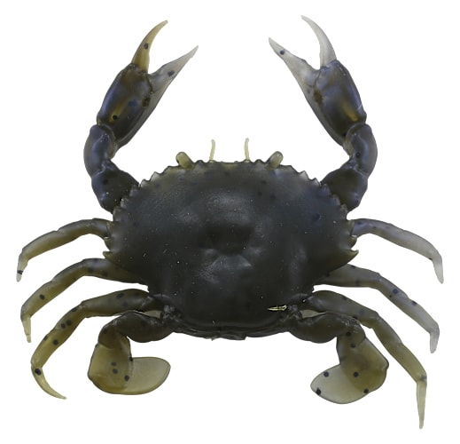 best accessories for fish tanks Shop Aquarium Accessories - Planted Tank Extras
