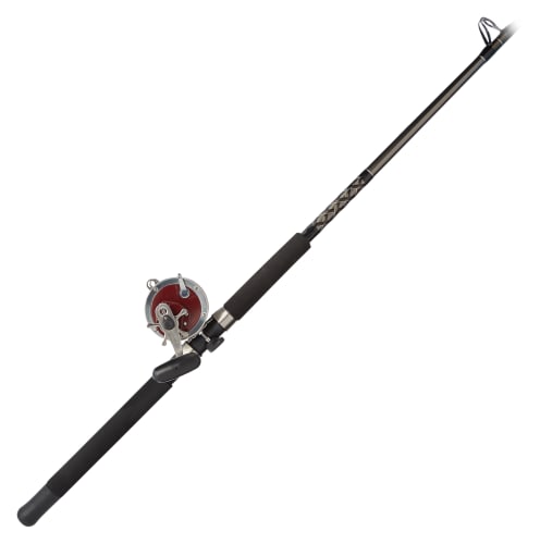 PENN Special Senator Conventional Combo | Bass Pro Shops