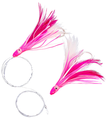 daiwa saltist 4000 drag Catch More Blackfish and Striped Bass Daiwa Saltist MQ 4000 With A Dar   J&H Tackle