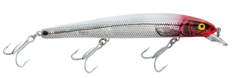 bbw granny fish net curvy
